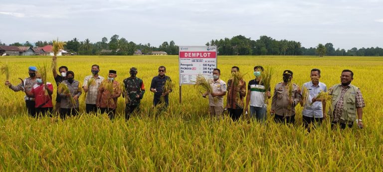Hadiri Panen Perdana Padi Milik Kelompok Tani di Desa Samaelo, Ini Harapan Kapolsek Barebbo