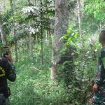 Tentukan Batas Pembangunan Jalan, Satgas TMMD Laksanakan ini