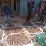 Anggota Satgas TMMD/N Lakukan Kunjungan Kosmos Ke Petani Gambir