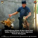 Judi Sabung Ayam di Hari Raya Idul Adha, Pejudi Kocar Kacir di Grebek Polsek Manggala