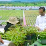 Tinjau Persemaian Rumpin, Presiden: Indonesia Serius Tangani Perubahan Iklim