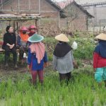 Puan Maharani Minta Pemerintah Kendalikan Harga Bahan Pokok