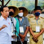 Produktivitas Petani Naik, Presiden: Tahun 2021 Kita Belum Impor Beras