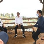 Dengarkan Keluhan Petani Bawang, Presiden Telepon Mendag Soal Impor Bawang