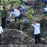 Presiden Jokowi Tanam Pohon Bersama Masyarakat di Desa Simangulampe