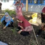UPT SMKN 8 Jeneponto berupaya mempertahankan tutupan lahan dengan penanaman pohon berkesinambungan