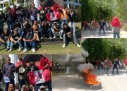 GmnI Kendari Nilai Hasil Pemira UHO Diduga Ada Indikasi Kecurangan