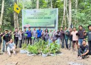 Peduli Terhadap Lingkungan, NGO EBrotherhood Indonesia Menggandeng PMII RAYON FHIL Gelar Aksi Penghijauan