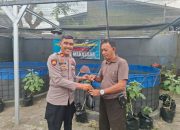 Panen Kedua Lele Polsek Makassar, Dari Lahan Kosong Jadi Berkah untuk Warga