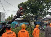 Gotong royong Polsek Tallo bersihkan pohon tumbang di Jalan Arif Rahman Hakim, lancarkan aktivitas warga Makassar.