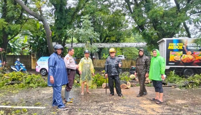 Respon Cepat, Personel Polsek Biringkanaya Evakuasi Pohon Tumbang di Jalan Pajjaiang
