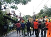 3 Pilar Karunrung Sigap Tangani Pohon Tumbang, Akses Jalan Warga Kembali Lancar
