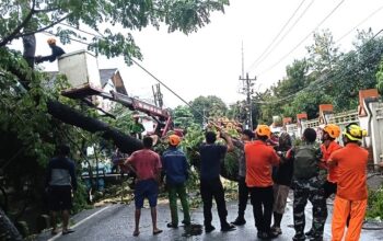 3 Pilar Karunrung Sigap Tangani Pohon Tumbang, Akses Jalan Warga Kembali Lancar