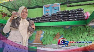 Sampah Organik di SDI Maccini Sombala Diolah Menjadi Pupuk Kompos Bernilai Ekonomi