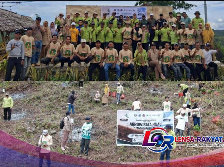 Ket : KTH Sangia Lestari, Gelar Aksi Tanam 2000 bibit pohon di puncak wakila